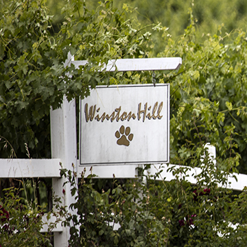 Sign post outside of Winston Hill Vineyard