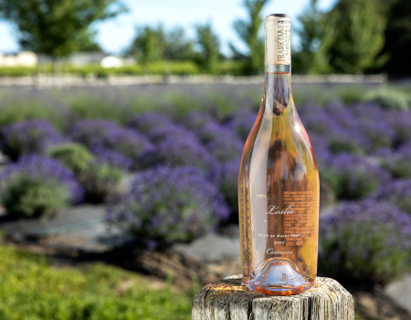 A bottle of Frank Family's Leslie Rosé with beautiful lavender fields in the background. 